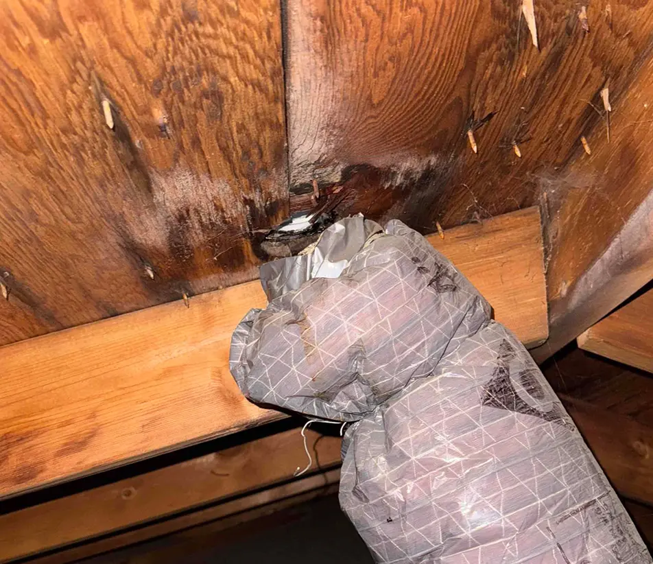 non ventilated bathroom vent in an attic