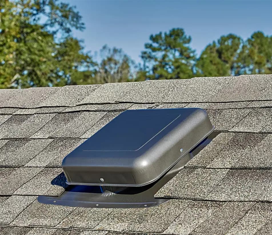box vent on an asphalt roof