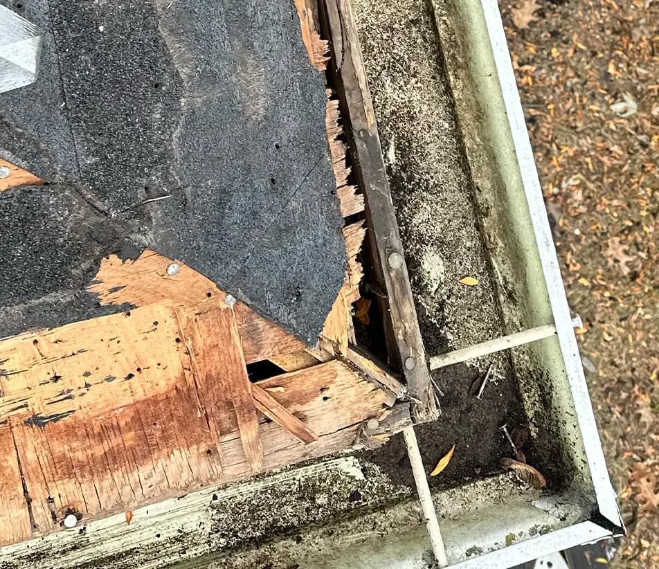 rotted wood along eaves and gutters