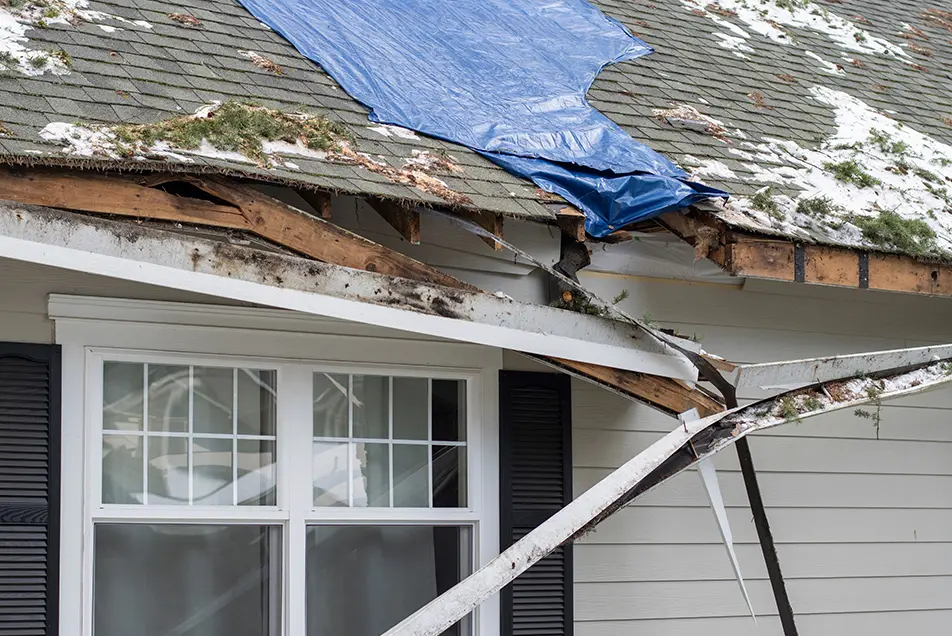 tree damaged roof with gutter hanging off
